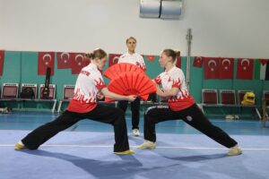 SAKARYA (AA) – MİNE YILDIRIM – Wushu sporcusu 18 yaşındaki