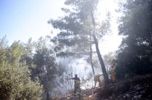 MUĞLA (AA) – Muğla'nın Menteşe ilçesinde çıkan orman yangını, havadan