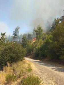 MUĞLA (AA) – Muğla'nın Menteşe ilçesinde çıkan orman yangınına havadan