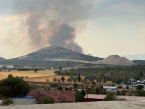 MUĞLA (AA) – Muğla'nın Yatağan ilçesinde çıkan orman yangınına havadan
