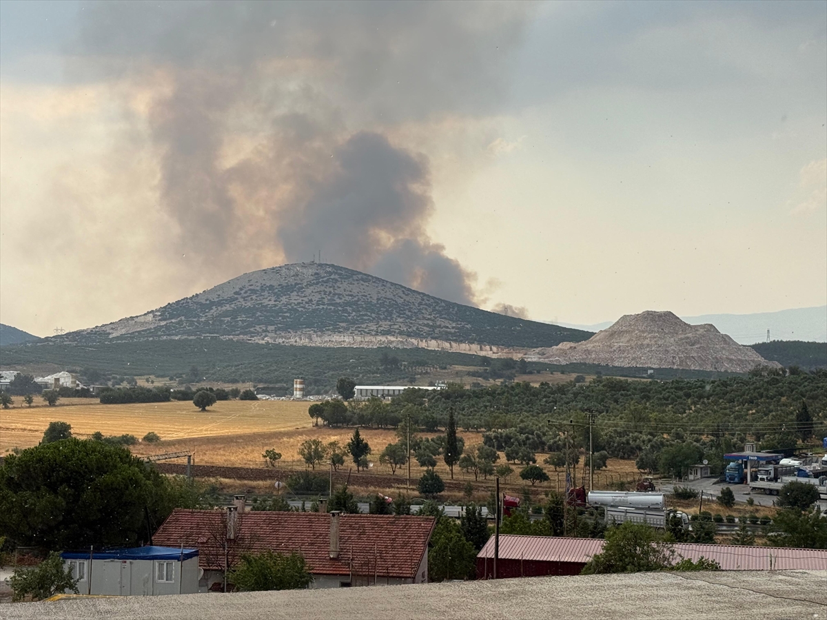 Muğla'da çıkan orman yangınına müdahale ediliyor