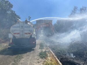 MUĞLA (AA) – Muğla'nın Bodrum, Milas ve Kavaklıdere ilçelerinde dört