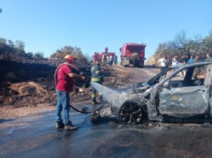 MUĞLA (AA) – Muğla'nın Milas ilçesinde, otomobilde çıkıp ormanlık alana
