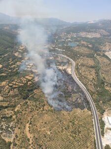 MUĞLA (AA) – Muğla’nın Yatağan ilçesinde tarım alanında çıkan yangına