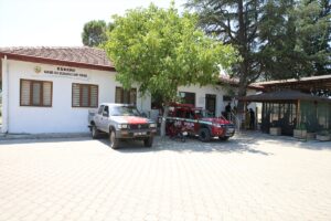 DENİZLİ (AA) – Eskişehir'in Seyitgazi ilçesinde çıkıp Afyonkarahisar'a sıçrayan orman