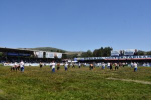 ORDU (AA) – Ordu'da düzenlenen "917. Geleneksel Aybastı Perşembe Yaylası