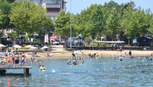 SAKARYA/KOCAELİ (AA) – Hava sıcaklığının mevsim normalleri üzerinde seyrettiği Sakarya