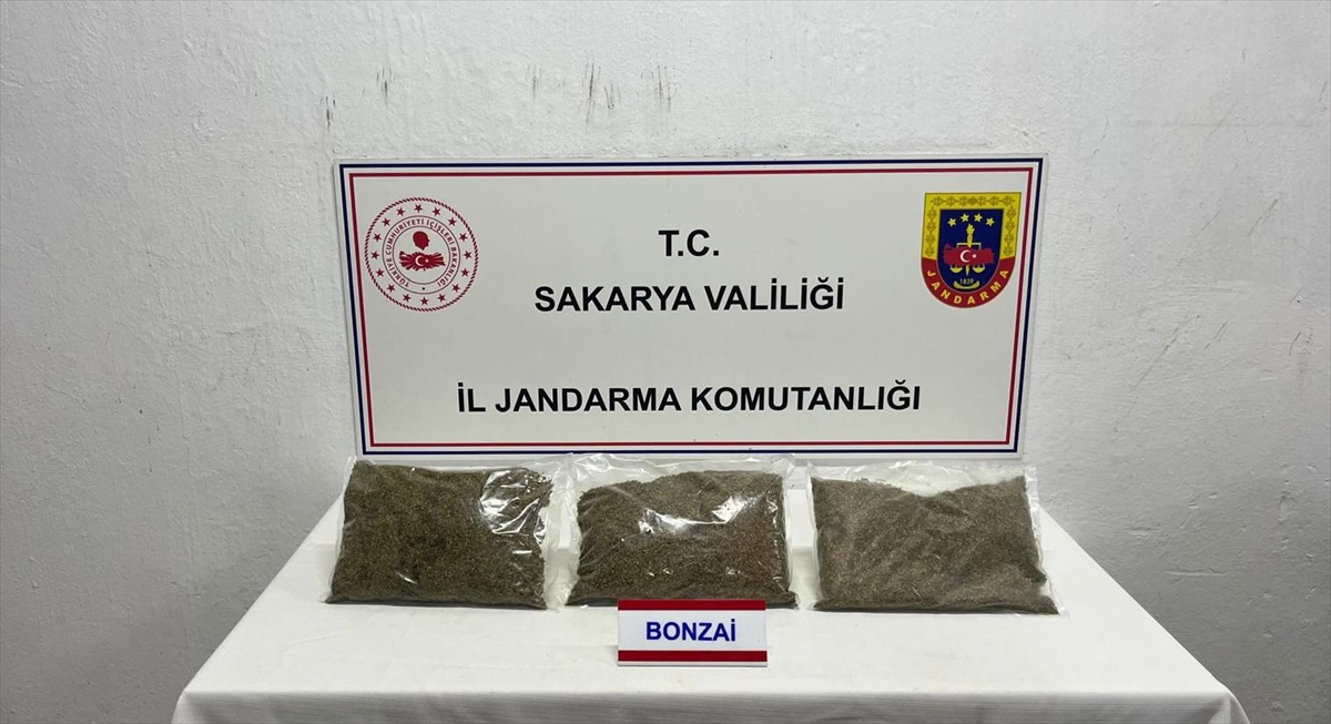 Sakarya'da 2 kilo 750 gram sentetik uyuşturucu ele geçirildi, zanlı tutuklandı