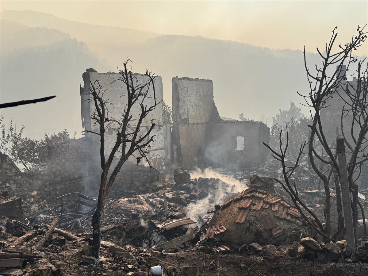 Sakarya'da çıkan orman yangınına müdahale sürüyor