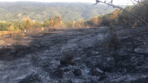 YANGININ KONTROL ALTINA ALINDIĞI BİLGİSİ EKLENDİ