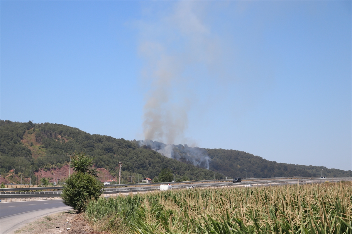 Sakarya'da ormanlık alanda çıkan yangın kontrol altına alındı