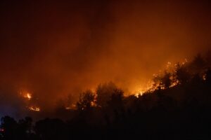 SAKARYA (AA) – Sakarya'nın Geyve ilçesinde ormanlık alanda çıkan yangın