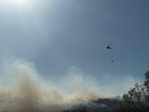 SAKARYA (AA) – Sakarya'nın Hendek ilçesindeki ormanlık alanda çıkan yangın,