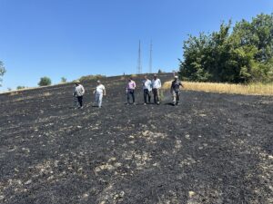 SAMSUN (AA) – Samsun'un Alaçam ilçesinde çıkan yangında 50 dönüm