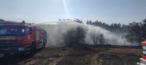 SAMSUN (AA) – Samsun'un Ladik ilçesinde ekili arazide çıkan yangında