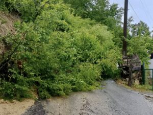 SAMSUN (AA) – Samsun'un Yakakent ilçesinde sağanak nedeniyle mahalle grup