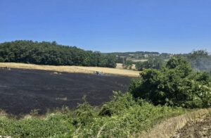 SAMSUN (AA) – Samsun'un Atakum ilçesinde çıkan yangında 16 dönüm