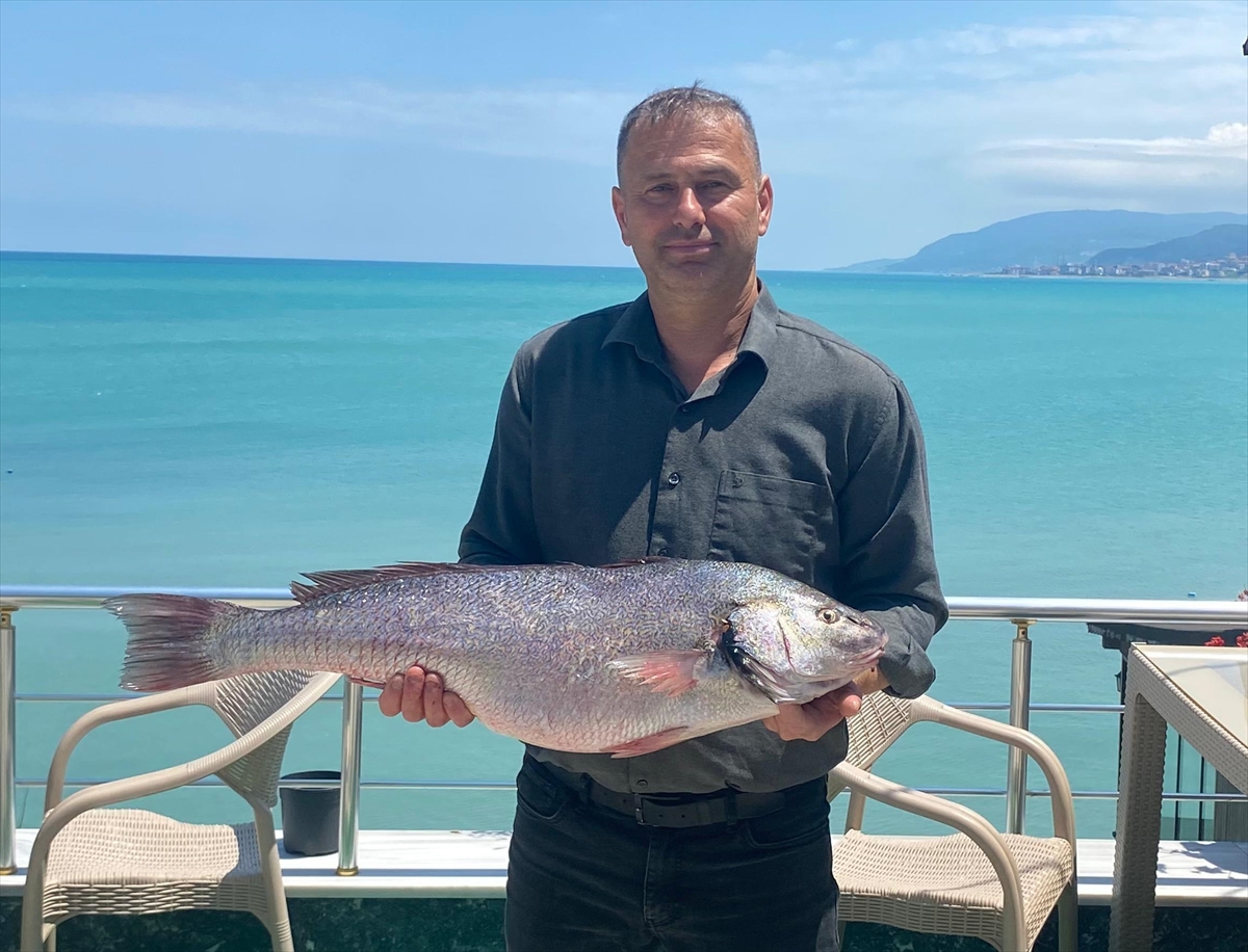 Sinop'ta 6,5 kilogramlık beyaz kötek balığı avlandı