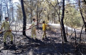 SİNOP (AA) – Sinop'un Boyabat ilçesinde çıkan orman yangını söndürüldü.