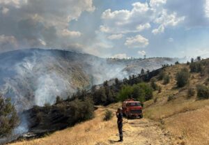 SİVAS (AA) – Sivas'ın Akıncılar ilçesinde çıkan yangında 5 ev