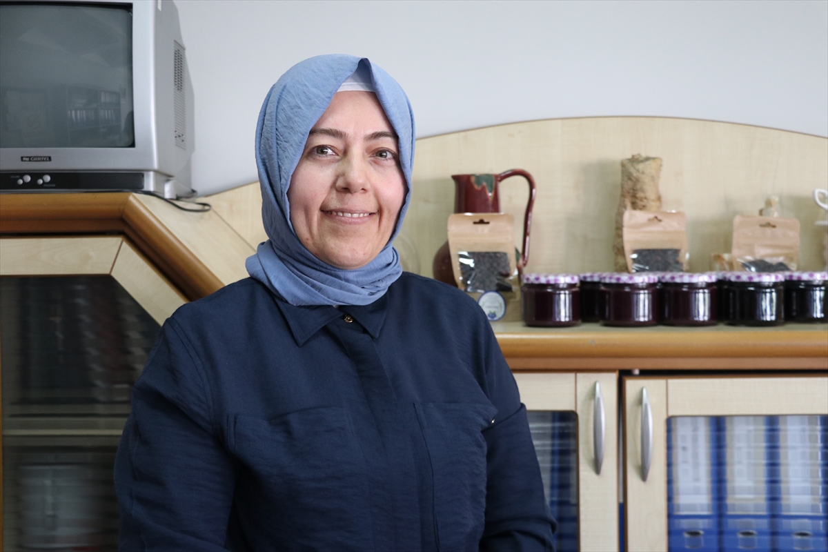 Tek çatı altında toplanan Bursalı yaban mersini üreticileri ihracat hedefliyor