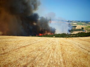 TEKİRDAĞ (AA) – Tekirdağ'ın Şarköy ilçesinde tarım alanında başlayıp ormana