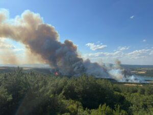 TEKİRDAĞ (AA) – Tekirdağ'ın Şarköy ilçesi Çokal Barajı yakınlarında orman