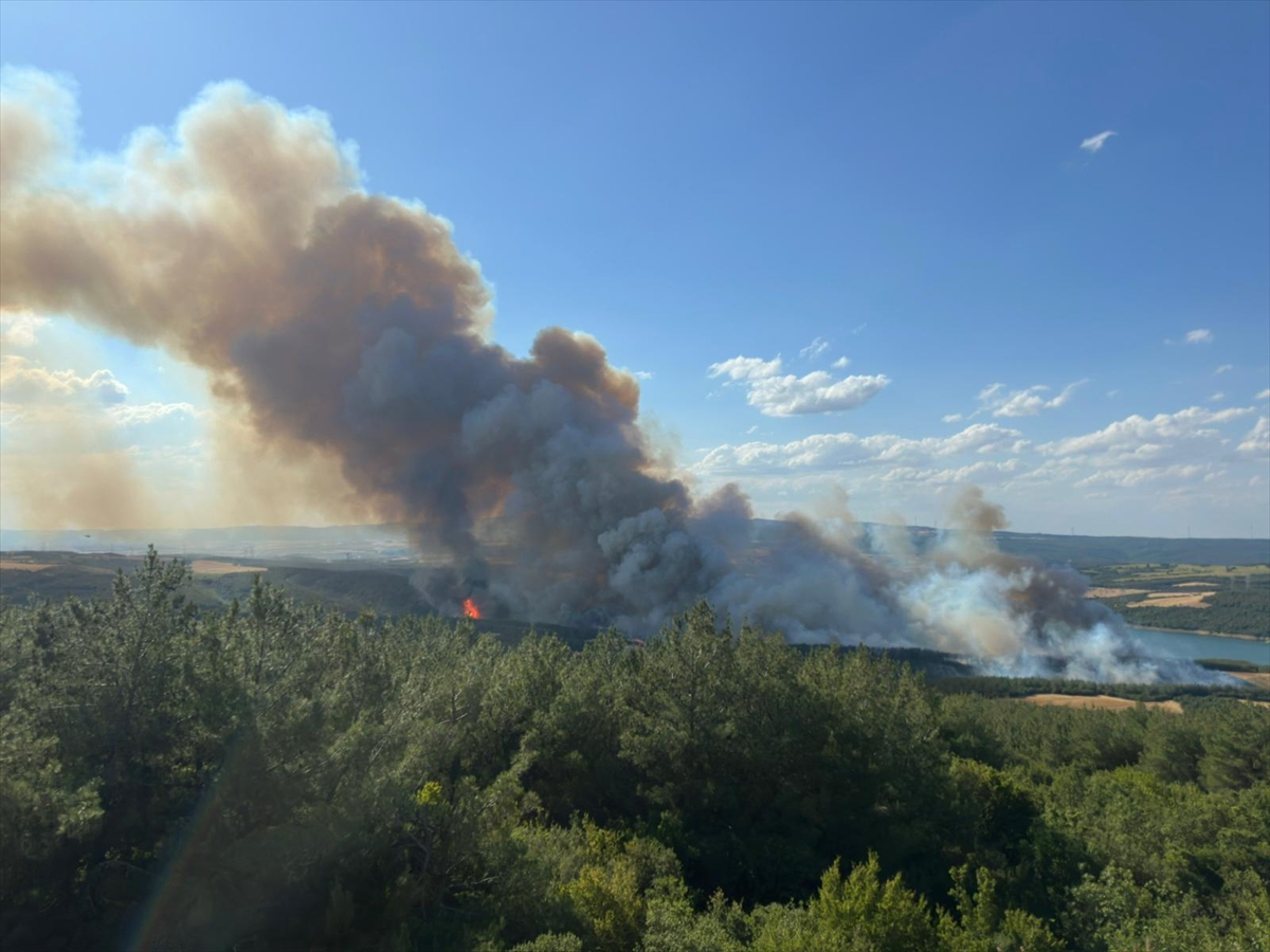 Tekirdağ'da orman yangınına havadan ve karadan müdahale ediliyor