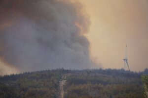 TEKİRDAĞ (AA) – Tekirdağ'ın Şarköy ilçesindeki orman yangınına hava ve