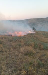 TOKAT (AA) – Tokat'ta çıkan anız yangınında yaklaşık 50 dönümlük