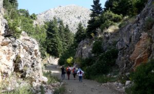 KAYSERİ (AA) – MÜZAHİM ZAHİD TÜZÜN – Kayseri'nin Tomarza ilçesinde,