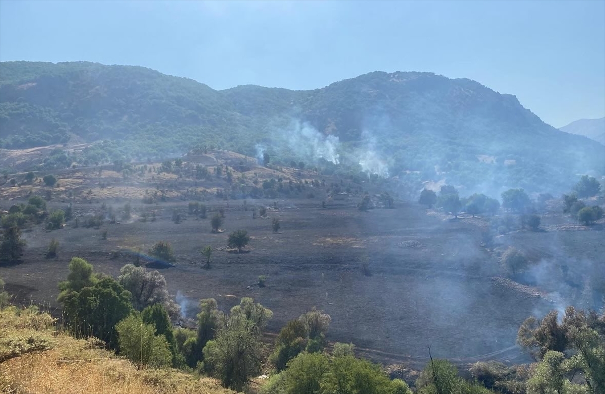 GÜNCELLEME – Tunceli'de çıkan örtü yangını söndürüldü