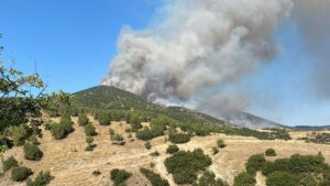 UŞAK (AA) – Uşak'ın Banaz ilçesinde çıkan yangın ve Manisa'nın