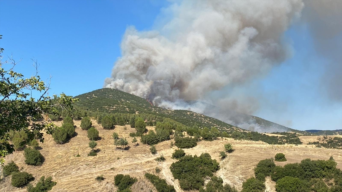 Uşak ile Manisa'daki yangınlara havadan ve karadan müdahale ediliyor