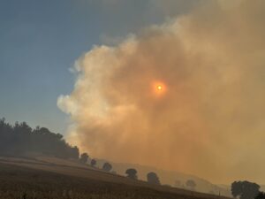 UŞAK (AA) – Uşak'ta tarım arazisinde başlayıp ormanlık alana sıçrayan