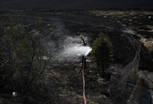 ANKARA (AA) – Ankara'nın Yenimahalle ilçesinde ekili arazide çıkan yangın,
