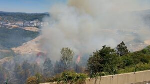 ZONGULDAK (AA) – Zonguldak'ın Karadeniz Ereğli ilçesinde çalılık yangını, orman