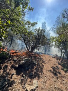 ADANA (AA) – Adana'nın Feke ilçesinde ormanlık alanda çıkan yangına