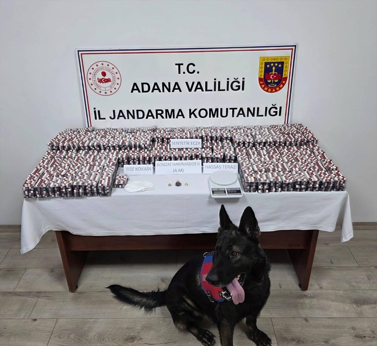 Adana'da 19 bin 167 sentetik uyuşturucu hap ele geçirildi