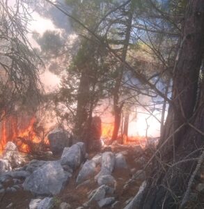 ADANA (AA) – Adana'nın Aladağ ilçesinde çıkan orman yangını, ekiplerin