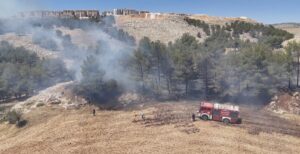 ADIYAMAN (AA) – Adıyaman'da ormanlık alanda çıkan yangın söndürüldü. Karadağ'daki