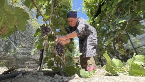 ERZİNCAN (AA) – EMİN FERHAT SEVİLİR – ÖZGÜR İLHAN –