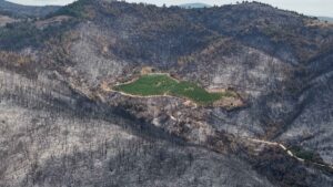 İSTANBUL (AA) – ALJ Türkiye, bünyesinde yer alan Toyota, Lexus