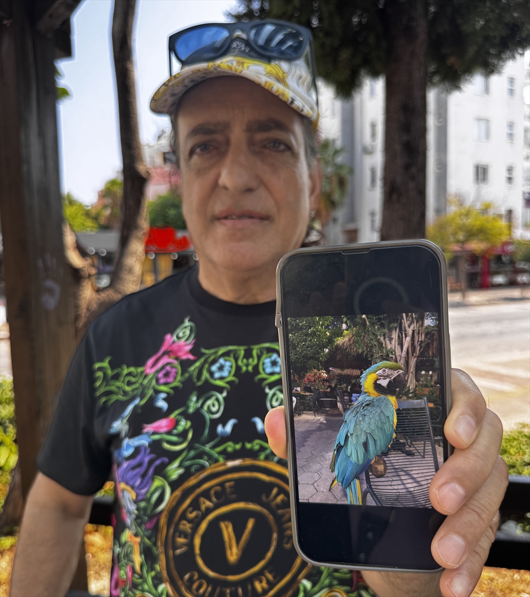 Antalya'da çalındığını öne sürdüğü papağanının bulunmasını istiyor