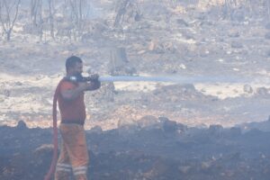 ANTALYA (AA) – Antalya'nın Kepez ilçesinde orman yakınında çıkan yangın