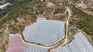 ANTALYA (AA) – MUSTAFA KURT – Antalya'nın Alanya ilçesinde yaşayan