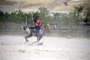 BİTLİS (AA) – ŞENER TOKTAŞ – Bitlis'in Ahlat ilçesinde düzenlenen