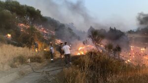 AYDIN (AA) – Aydın'da otoyoldaki kamyonda çıkıp ağaçlık alana sıçrayan