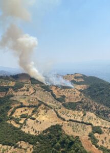 AYDIN (AA) – Aydın'ın Efeler ilçesinde ziraat alanında çıkan yangına