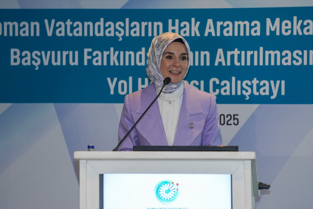 Bakan Göktaş, Roman vatandaşların hak arama farkındalığına yönelik çalıştayda konuştu: